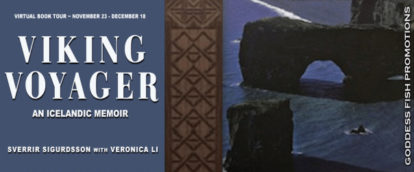 TourBanner_Viking Voyager