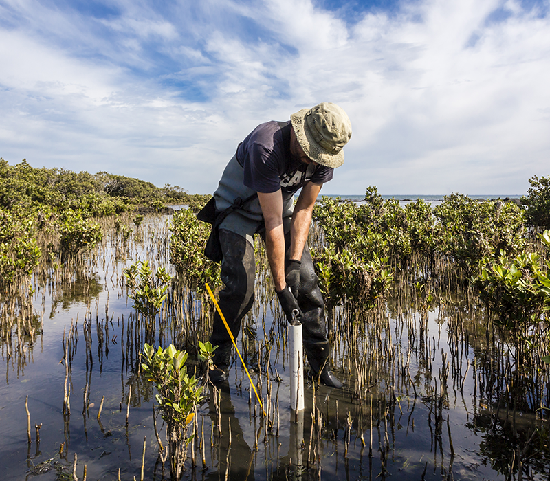 scientist collecting sediment