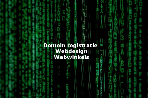 domeinnaam-webwinkel