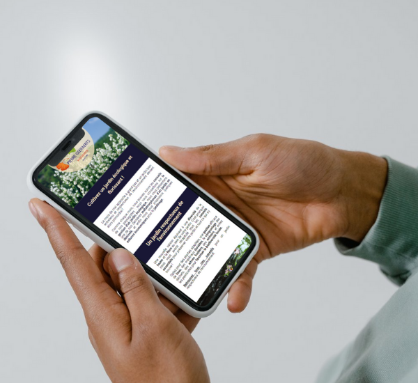 Création newsletter agence communication Epernay Marne