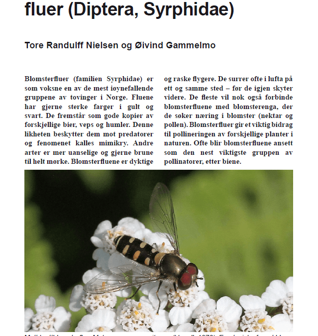 Ny sjekkliste over blomsterfluer