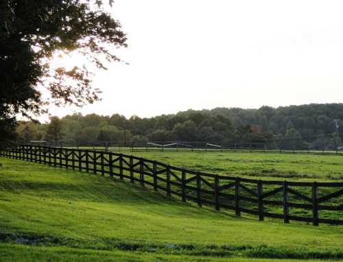 WoodlawnManor MD
