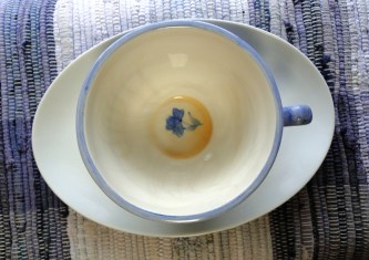 MagpiesNestDandelionT (3)