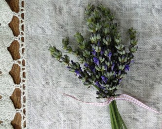 MagpiesNest Lavender2012 (6)