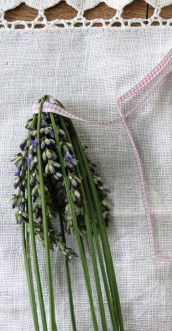 MagpiesNest Lavender2012 (8)