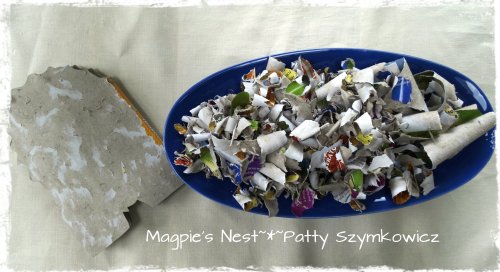 peeled board book (1)