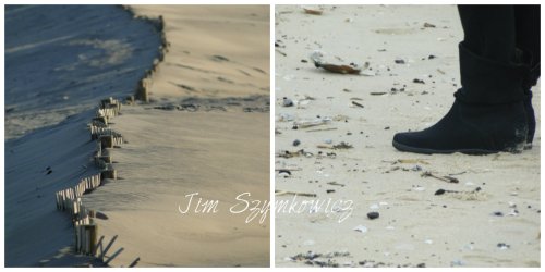 Assateague State Park