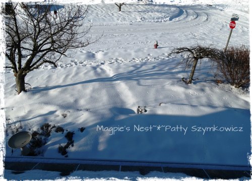 February 2014 snow