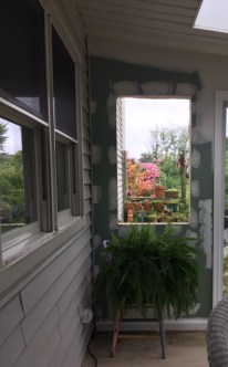 Magpie's Nest window in