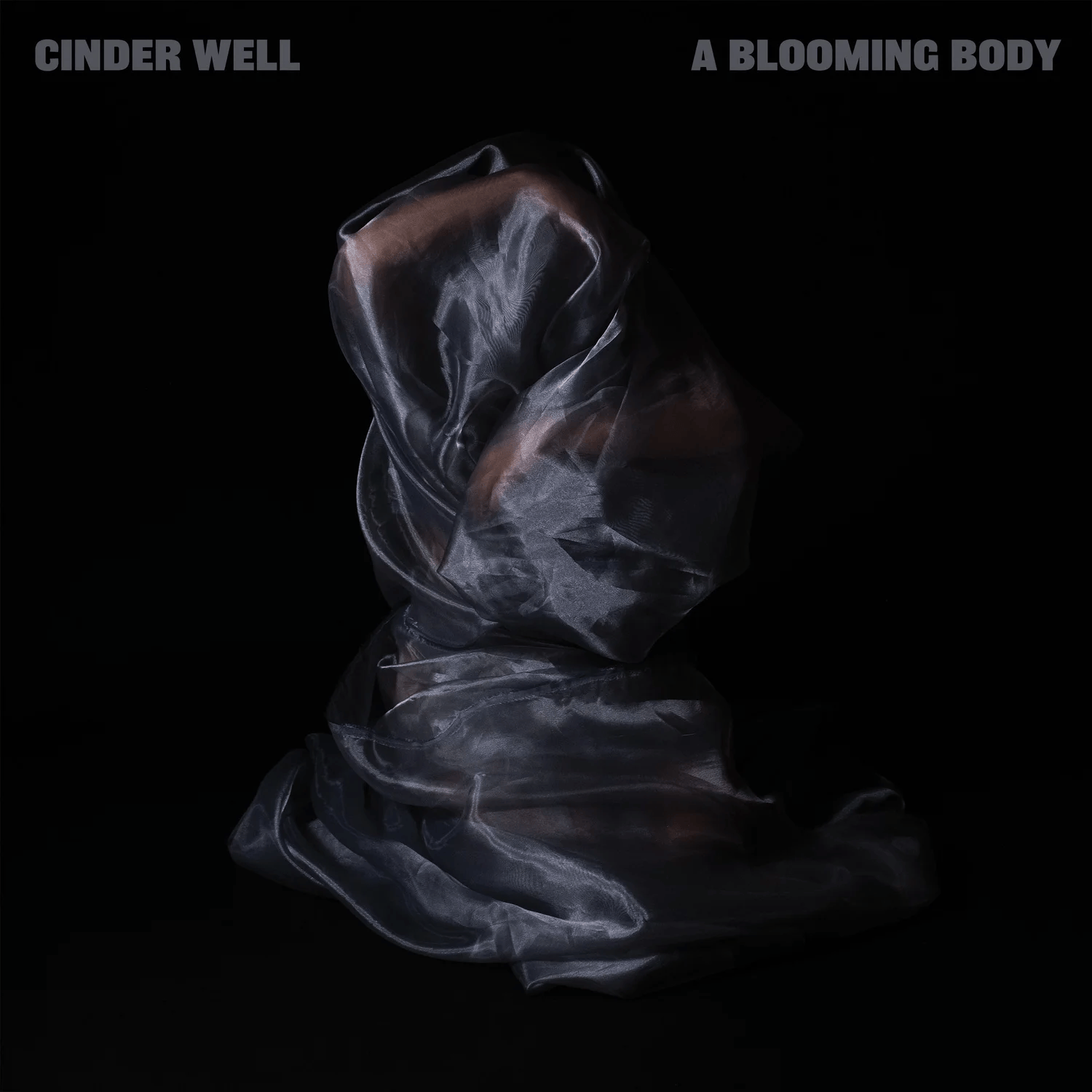 Cinder Well - A Blooming Body