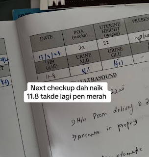 Bacaan HB Rendah Perlu Makan Apa Semasa Ibu Mengandung Hamil Bacaan HB Rendah Perlu Makan Apa Semasa Ibu Mengandung Hamil