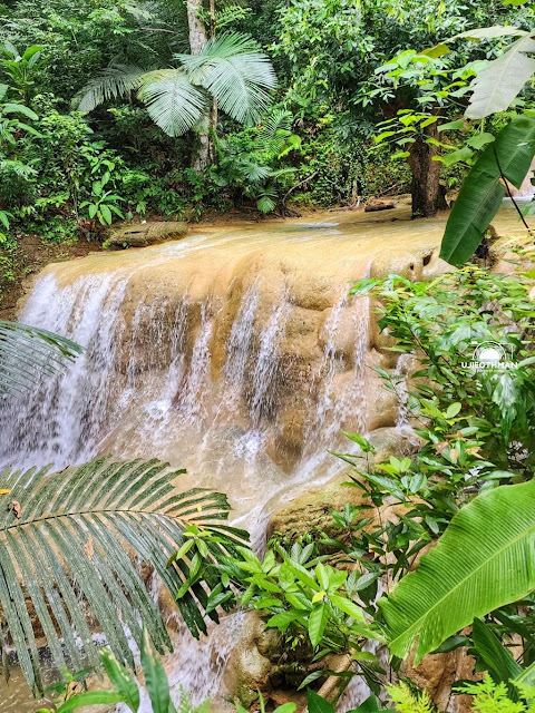 Hutan Lipur Bukit Ayer, Kangar Hutan Lipur Bukit Ayer, Kangar