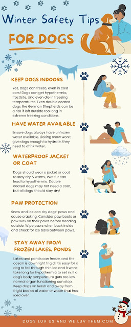 Winter Safety Tips For Dogs by Cathy Armato, Dogs Luv Us and We Luv Them Infographic on Winter Safety Tips for Dogs