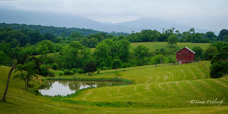farm scene