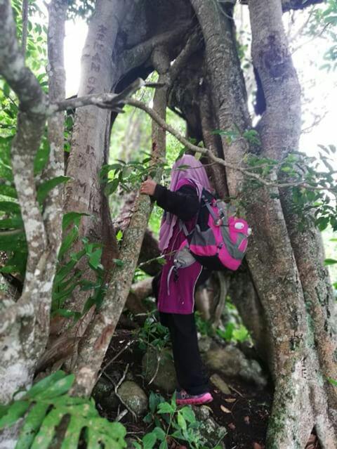 Bukit Cinta, Batu Payung Tawau Bukit Cinta, Batu Payung Tawau