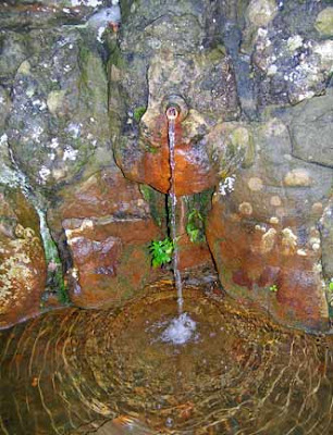 chalybeate spring