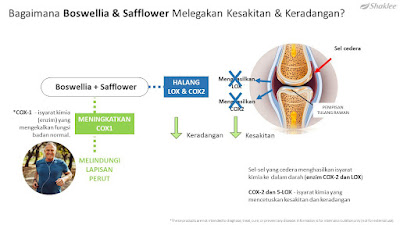 Pain Relief Caplet Shaklee Dengan Ekstrak Boswellia Kembali Pain Relief Caplet Shaklee Dengan Ekstrak Boswellia Kembali