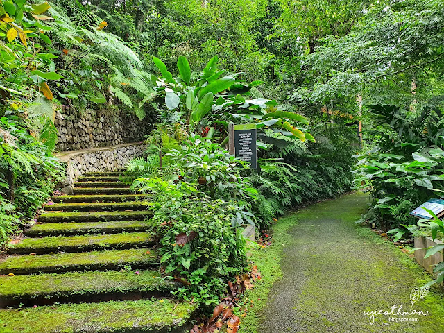 The Habitat, Penang Hill The Habitat, Penang Hill