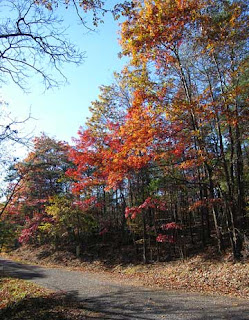 country road
