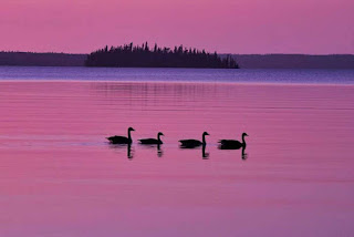 Prince Albert National Park, Saskatchewan