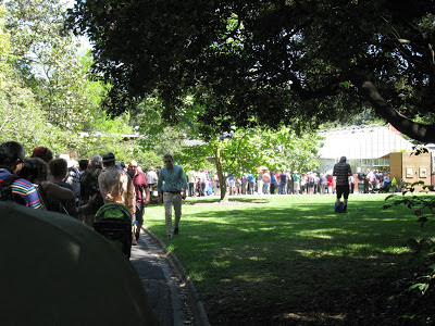Queue outside the greenhouse Queue outside the greenhouse