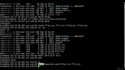 best online course to learn Linux for free