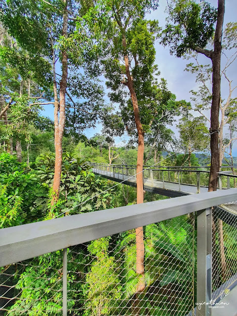The Habitat, Penang Hill The Habitat, Penang Hill