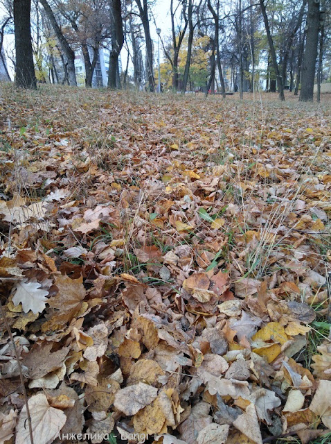 Осенние зарисовки. Верхний парк Осенние зарисовки. Верхний парк