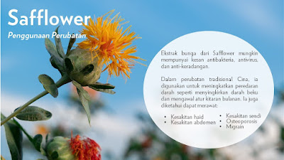 Pain Relief Caplet Shaklee Dengan Ekstrak Boswellia Kembali Pain Relief Caplet Shaklee Dengan Ekstrak Boswellia Kembali