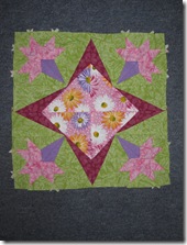 IMG_1604 IMG_1604