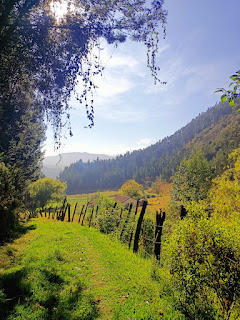 Foto tomada por mí, Nobsa, Boyacá , Colombia