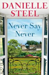 Icon image Never Say Never: A Novel