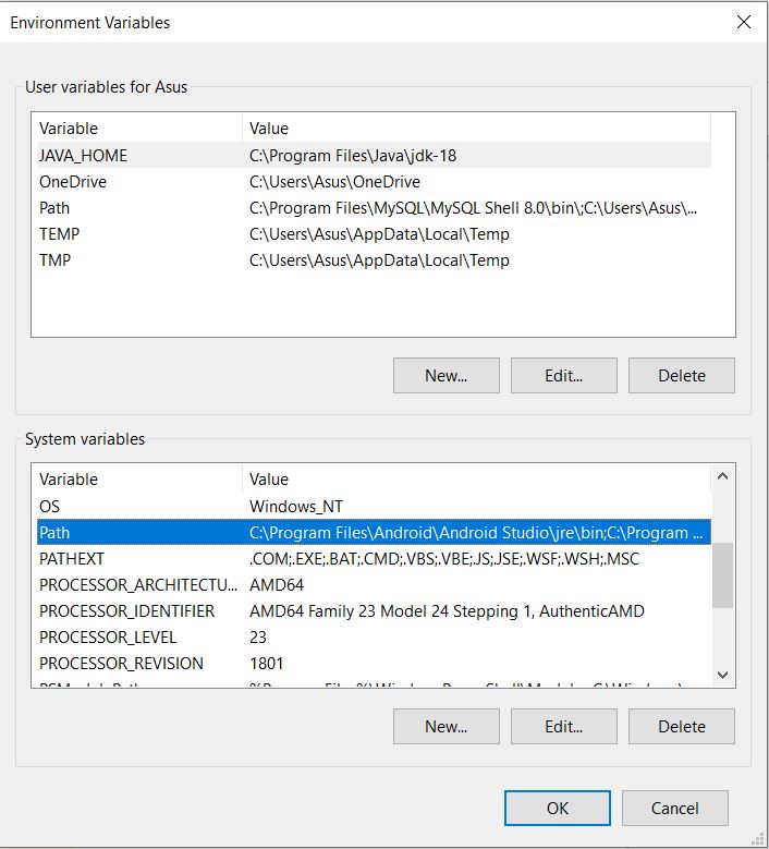environment variables environment variables
