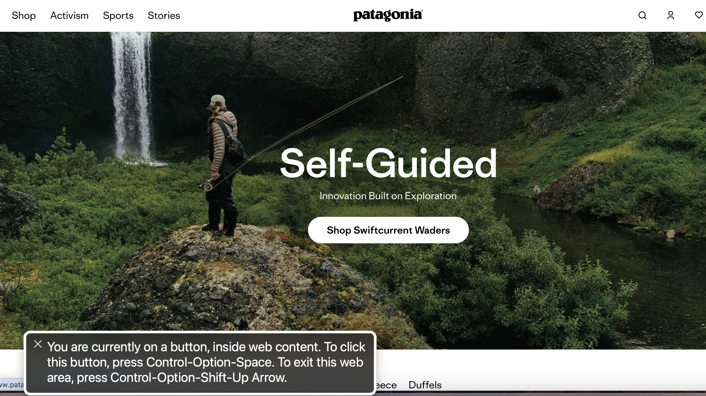 Accessibility Website Example Pantagonia Accessibility Website Example Pantagonia