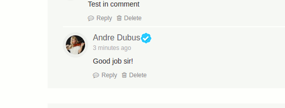 buddyverified-comment-badge-non-overlap