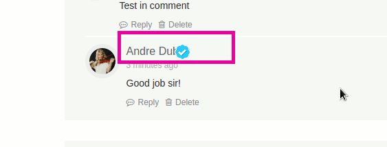 buddyverified-comment-badge-overlap