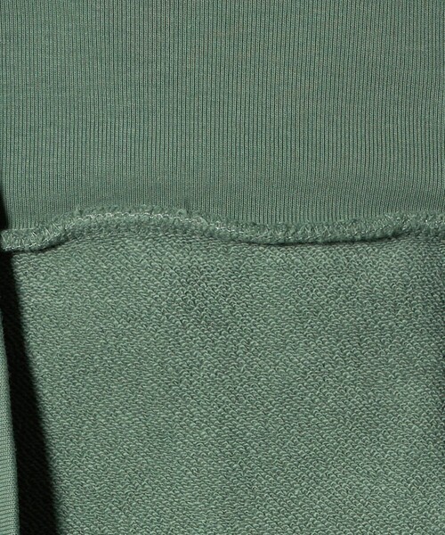 POLO RALPH LAUREN(ポロ ラルフ ローレン)の「【販路限定モデル】<POLO RALPH LAUREN>ハーフ ジップ スウェット(スウェット・メンズ・ケリーグリーン/ネイビー/ライトピンク・L)」の9枚目の写真