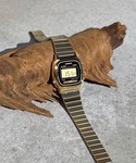 CASIO(カシオ)の「腕時計(デジタル腕時計)」