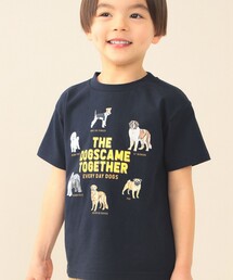 BEAMS mini | 【7/9新規値下げ】いぬ ねこ 半袖 Tシャツ 2026SS(90~140cm)動物 子供服 夏物 まとめ買い キッズ プチプラ 定番(Tシャツ/カットソー)