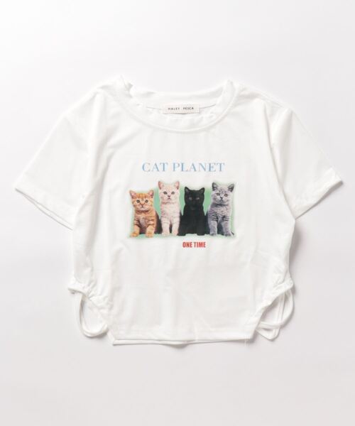 HALEY PESCA/ショート丈 ネコプリント デザインTシャツの10枚目の写真