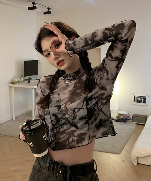 HALEY PESCA/ミニ丈 シースルートップス　カットソーの2枚目の写真