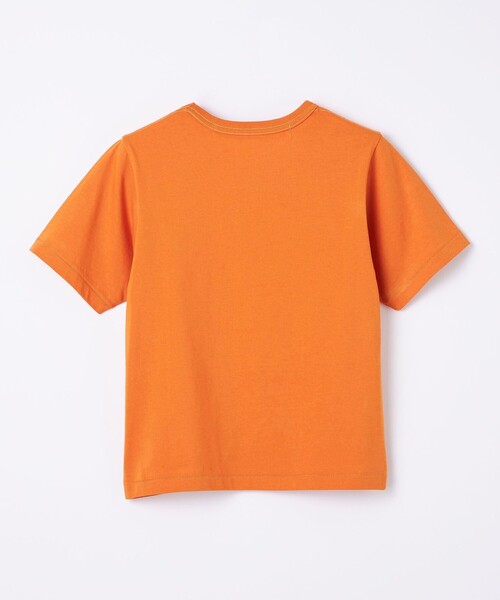 CITEN(シテン)の「<CITEN>コンパクト Tシャツ(Tシャツ/カットソー・レディース・ライトブルー/ホワイト/ブラック/イエロー/ネイビー/オレンジ/ライトピンク/ダークグリーン/ダークブラウン/ライム/モカ・FREE)」の18枚目の写真