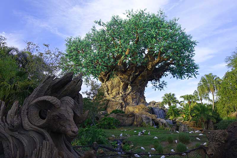 Save on Disney World Tickets - Disney's Animal Kingdom Tree of Life