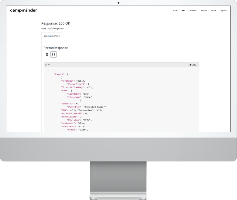 Monitor displaying API info.