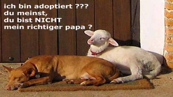 adoptiert