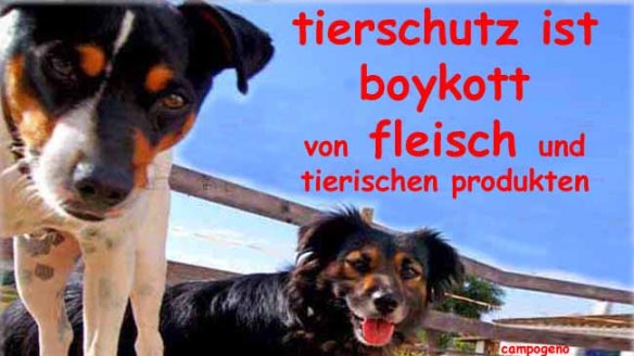 tierschutz