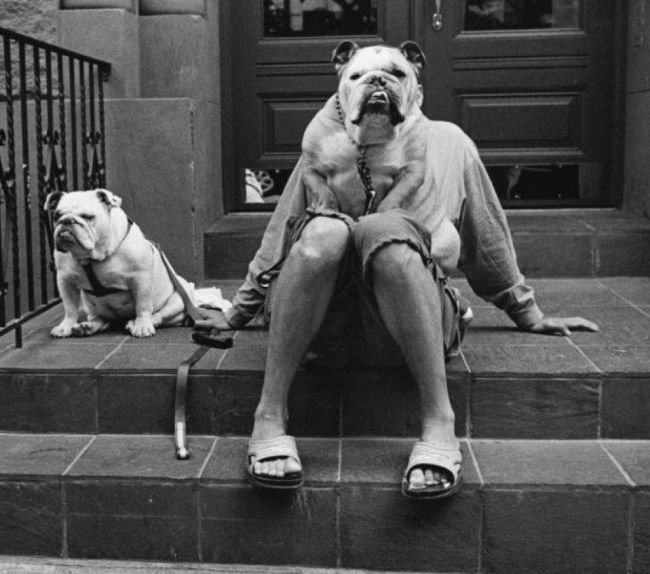 Elliott Erwitt. L'ideale fuggevole