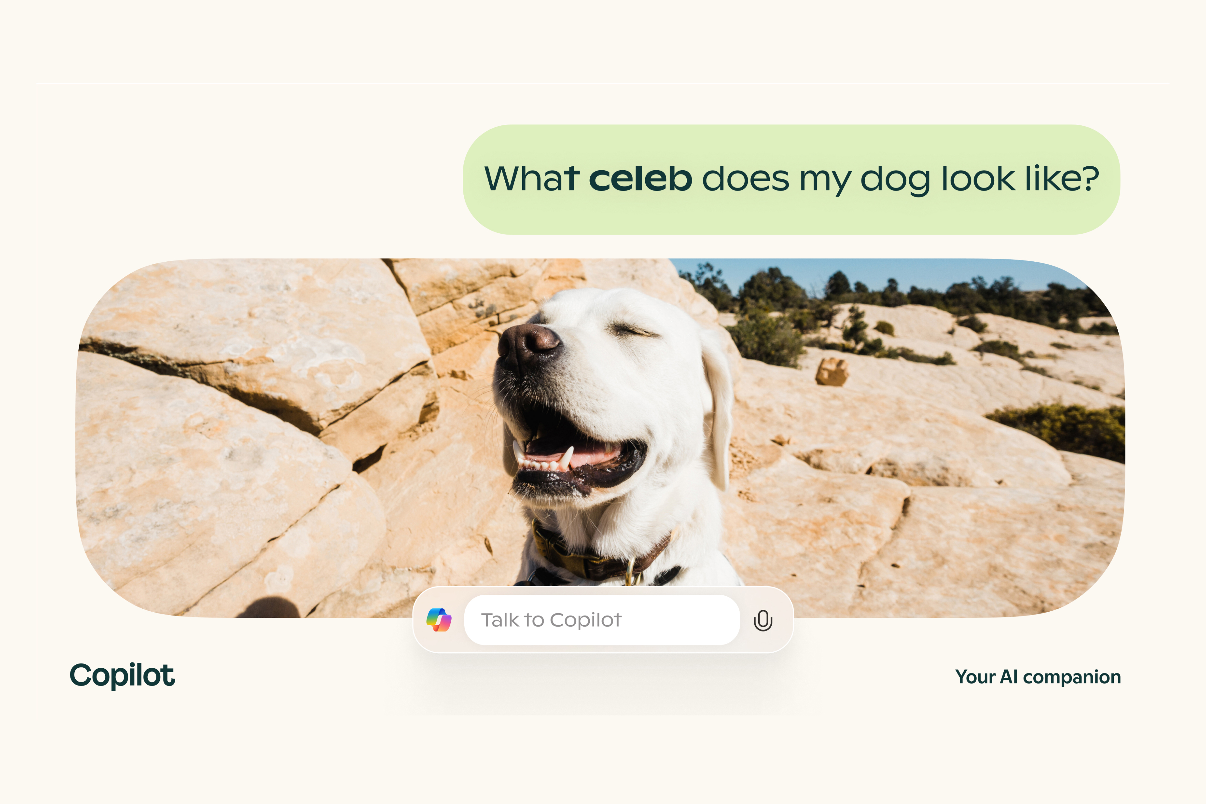 Copilot prompt "What celeb does my dog look like?" with picture of white dog on mountain