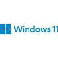 Windows logo