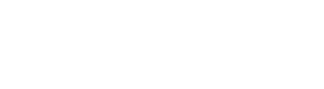 maverick ventures (white).png